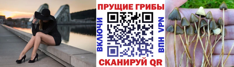 гидра вход  Яхрома  Псилоцибиновые грибы Magic Shrooms 